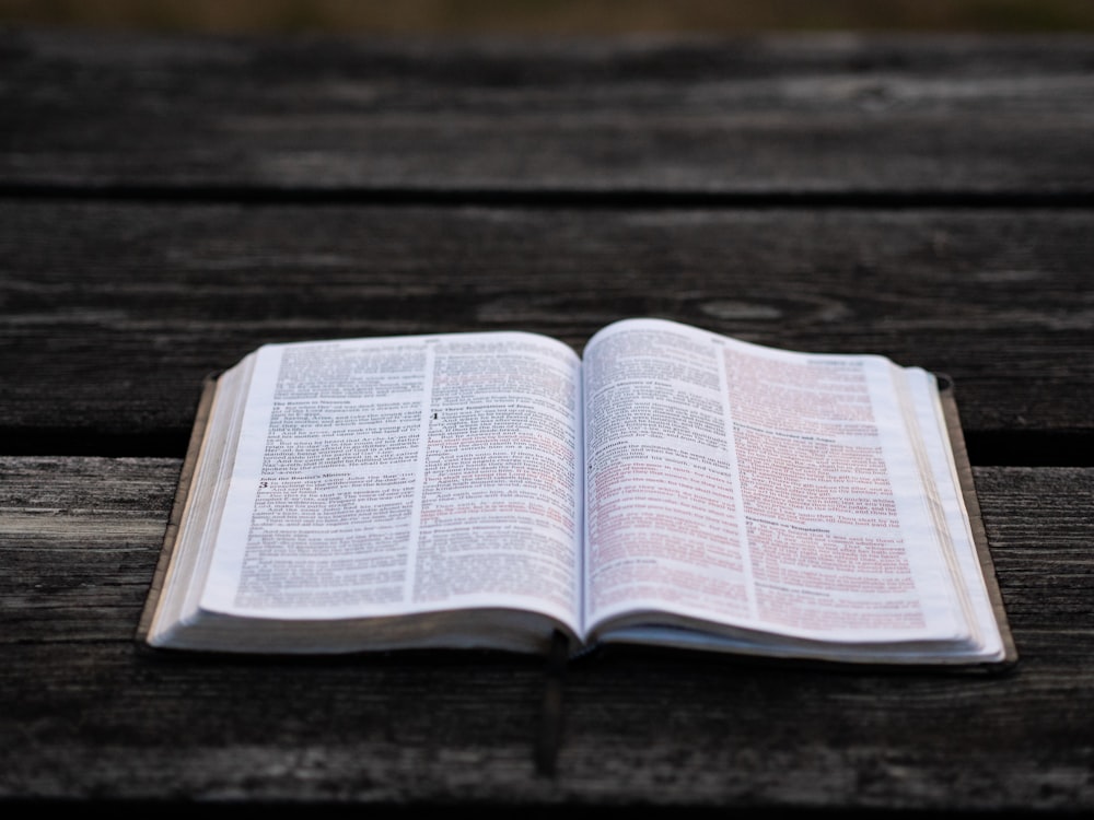 An open Bible, source of our Sunday readings
